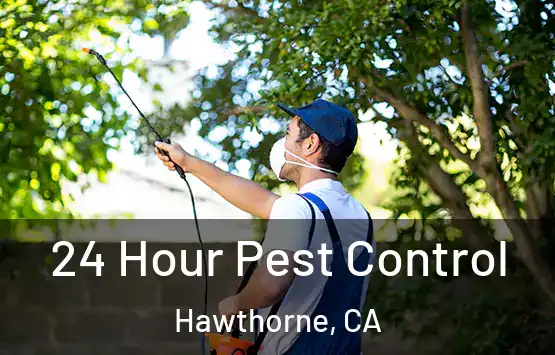  24 Hour Pest Control Hawthorne, CA