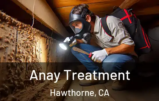  Anay Treatment Hawthorne, CA