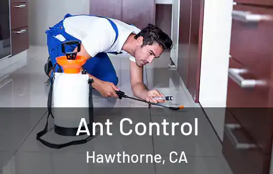  Ant Control Hawthorne, CA