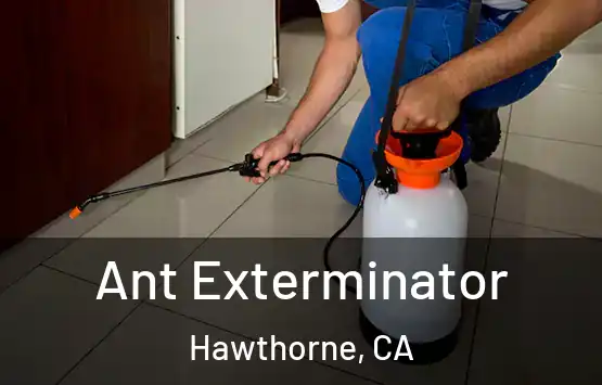  Ant Exterminator Hawthorne, CA