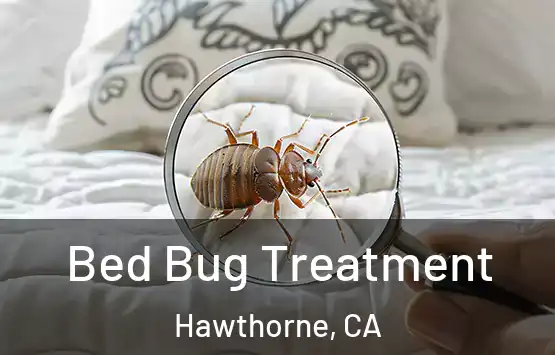  Bed Bug Treatment Hawthorne, CA