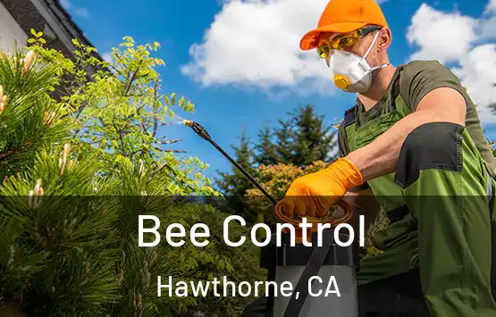  Bee Control Hawthorne, CA