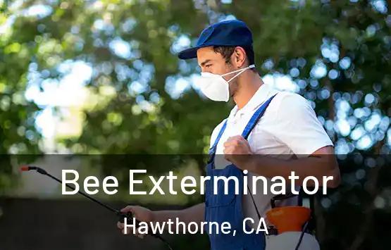  Bee Exterminator Hawthorne, CA