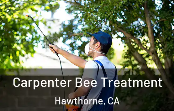  Carpenter Bee Treatment Hawthorne, CA