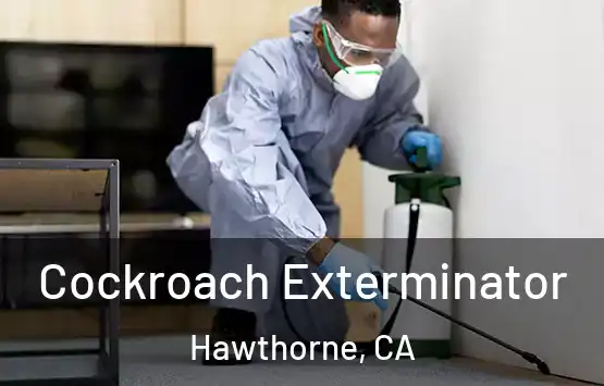 Cockroach Exterminator Hawthorne - CA