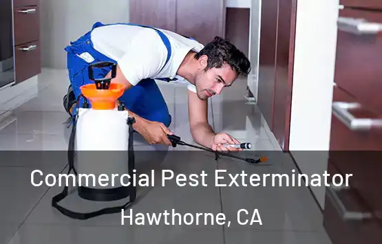  Commercial Pest Exterminator Hawthorne, CA