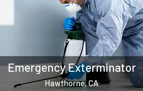  Emergency Exterminator Hawthorne, CA