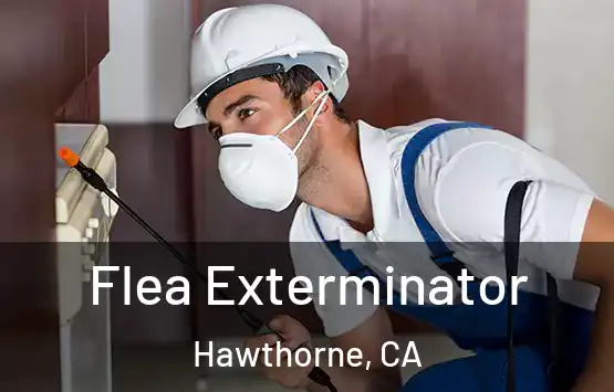  Flea Exterminator Hawthorne, CA