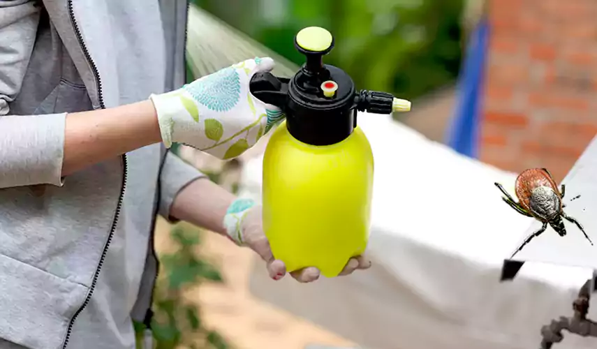 Ticks Pest Control Hawthorne, California