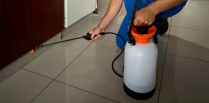 anay-treatment in Hawthorne, CA