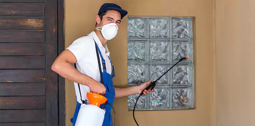 Bee Control for Bedrooms Hawthorne, CA