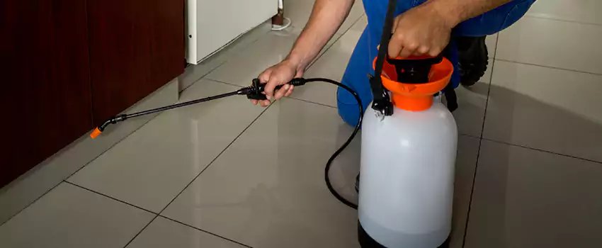 Prevent Future Roach Infestations Hawthorne, CA