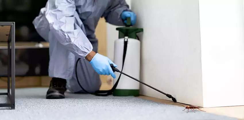 Residential Cockroach Treatment for Bedrooms in Hawthorne, CA