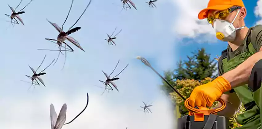 Commercial Mosquito Control Services in Hawthorne, CA