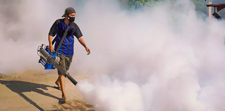 Bedrooms Mosquito Extermination in Hawthorne, CA