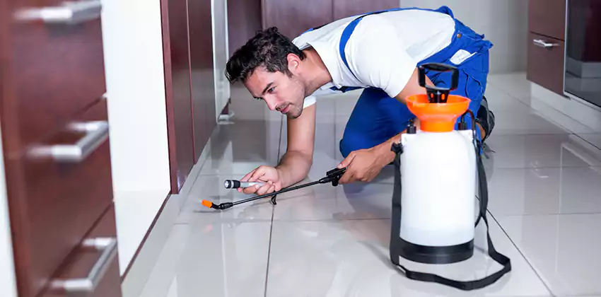 Protect Your Home with Our Pest Inspection Services Hawthorne, CA