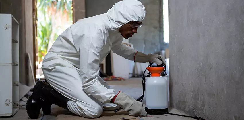 Termite Inspection for Bedrooms Hawthorne, CA