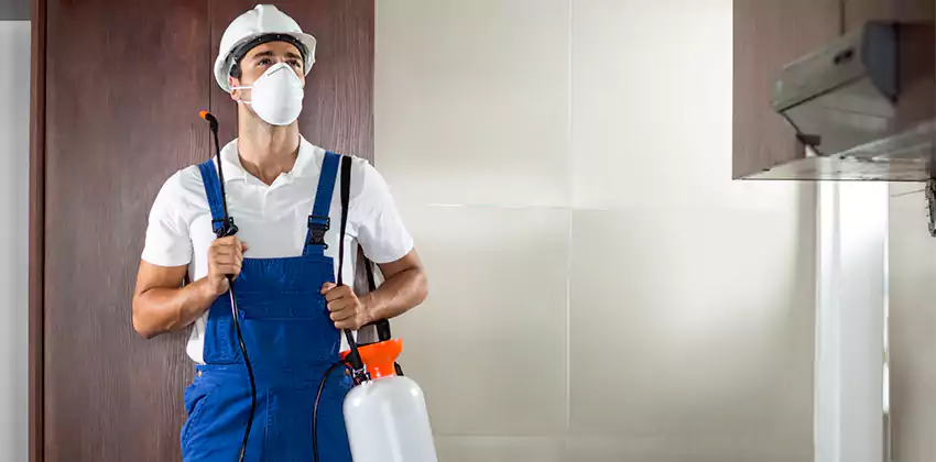 commercial-pest-control in Hawthorne, CA