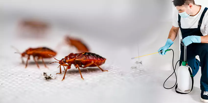 flea-control in Hawthorne, CA