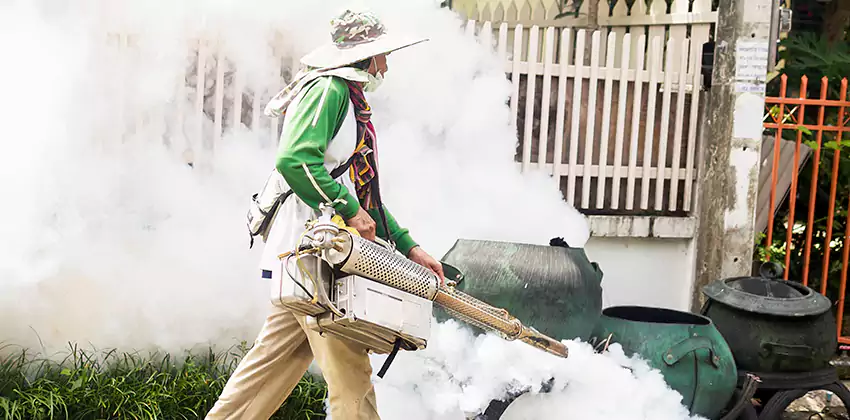 mosquito-exterminator in Hawthorne, CA