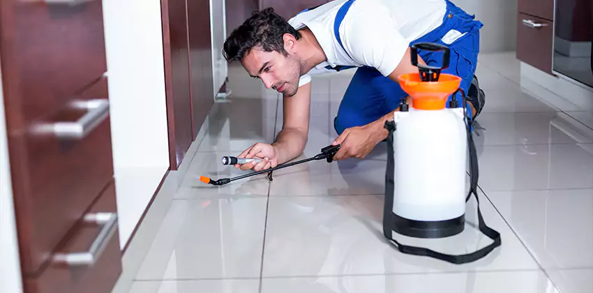 termite-exterminator in Hawthorne, CA