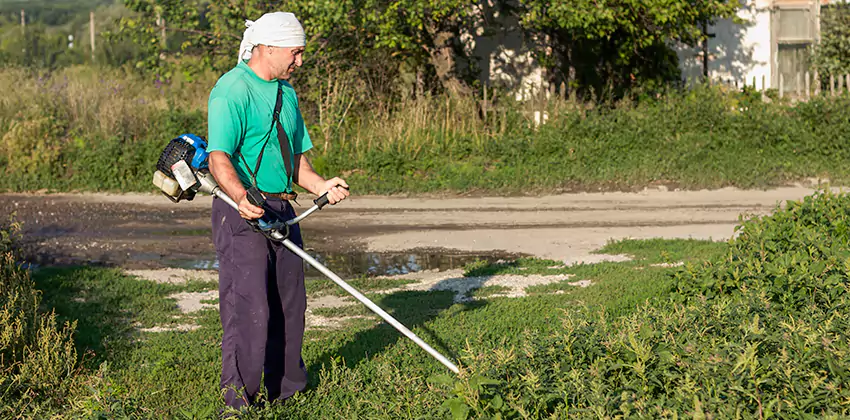 tick-treatment-for-yard in Hawthorne, CA