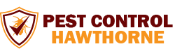 Pest Control Hawthorne