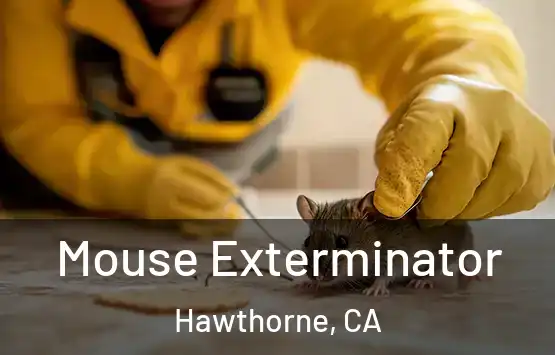  Mouse Exterminator Hawthorne, CA