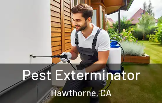  Pest Exterminator Hawthorne, CA