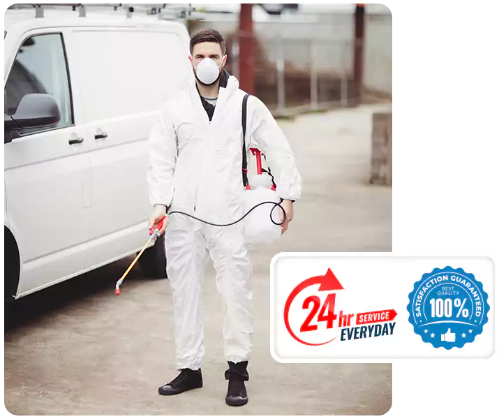 About Carpenter Bee Treatment Hawthorne