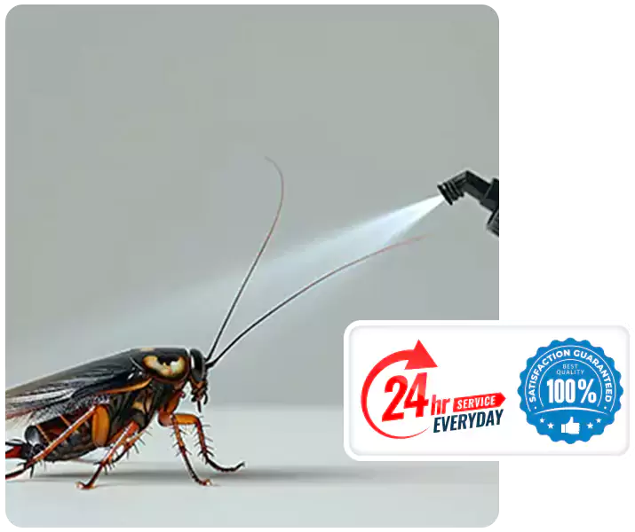About Cockroach Pest Control Hawthorne