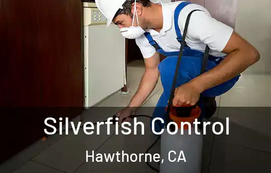  Silverfish Control Hawthorne, CA