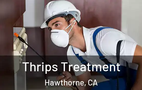  Thrips Treatment Hawthorne, CA