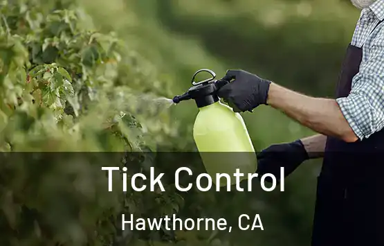  Tick Control Hawthorne, CA